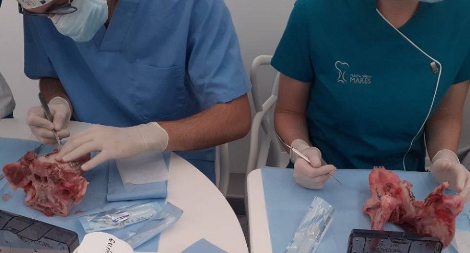 formación con implantes Zinic MT