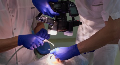 curso fotografía dental