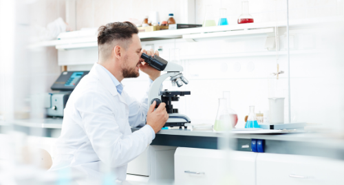 microbiota intestinal