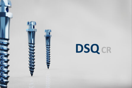 DSQ-CR a tres+Logo_web DSQcr con logo