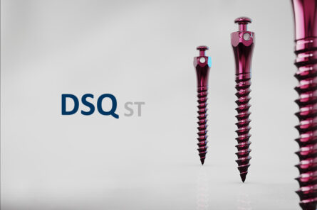 DSQ-ST a tres+Logo_web Dsqst