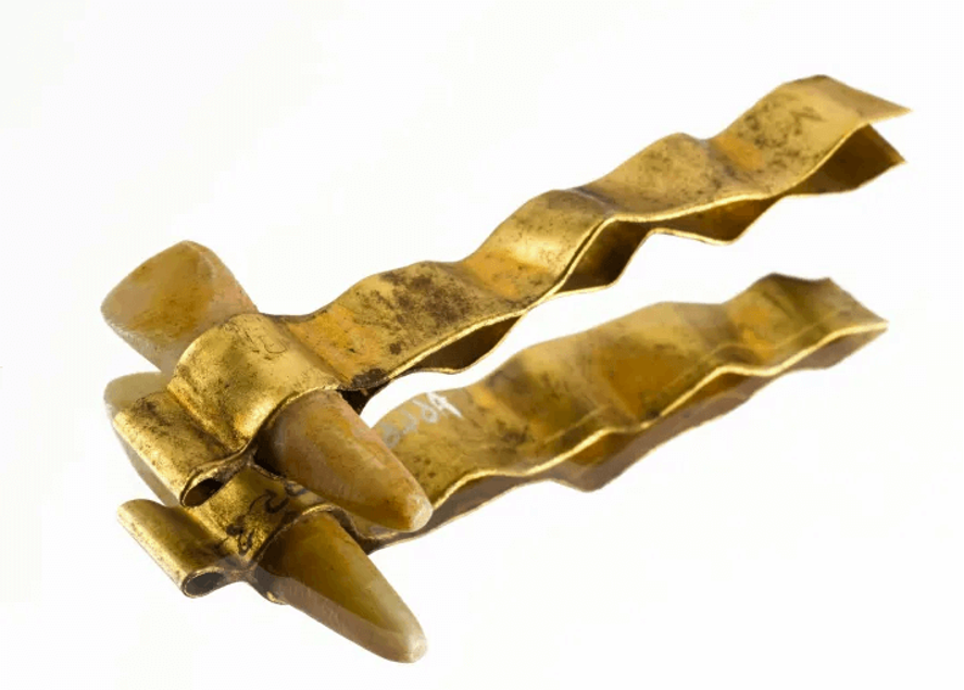 bandas etruscas con dientes de animales bandas etruscas