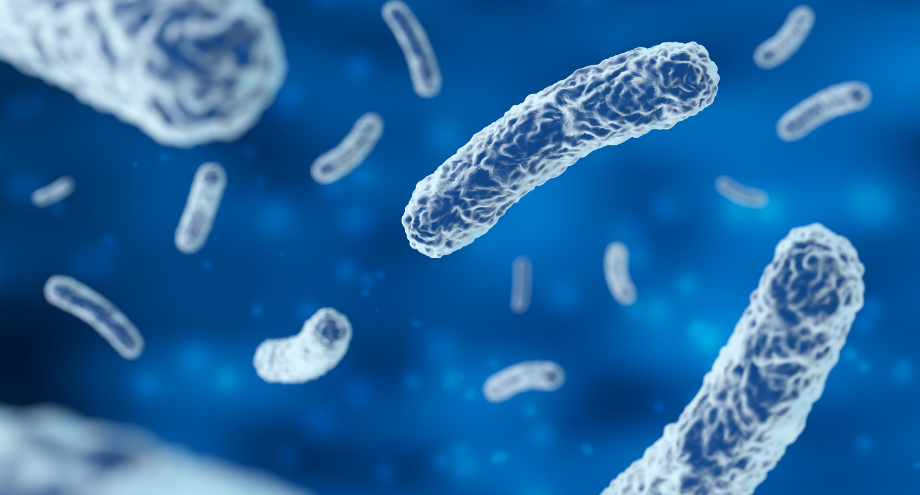 abscesos cerebrales ss